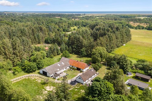 estate