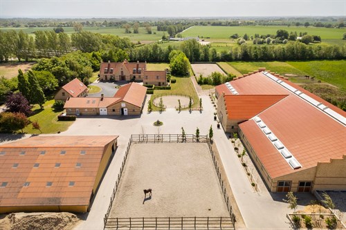 estate