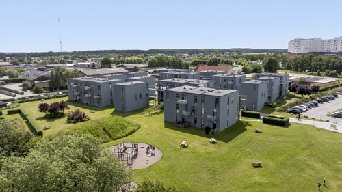 estate
