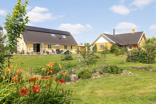 estate