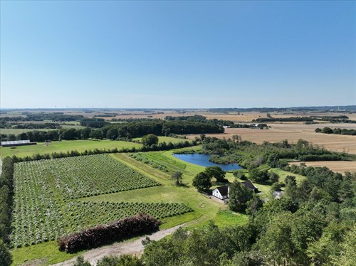 estate