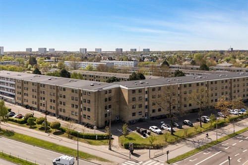 estate
