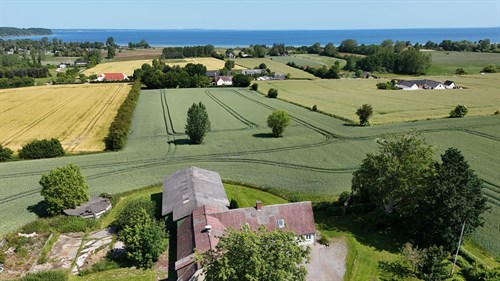estate