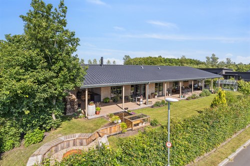 estate