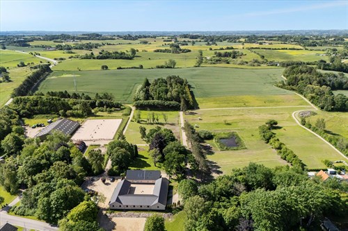 estate