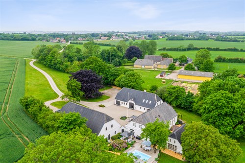 estate