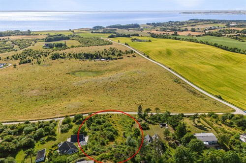 estate