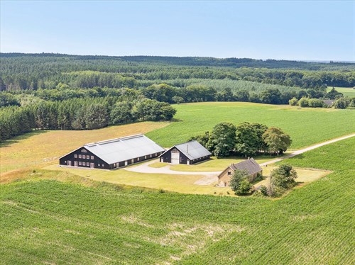 estate