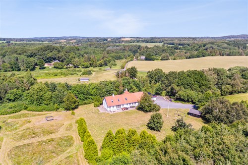 estate