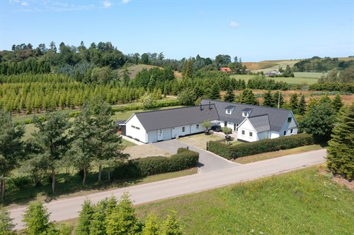 estate