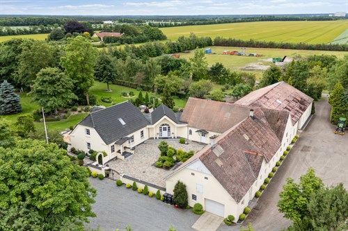 estate