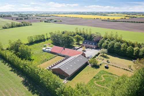 estate