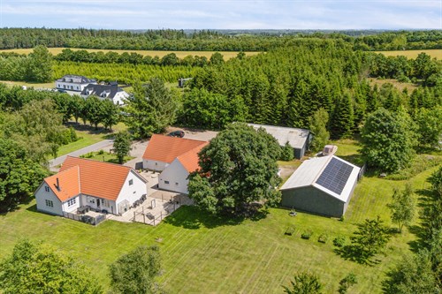 estate