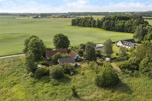 estate