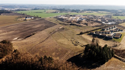 estate