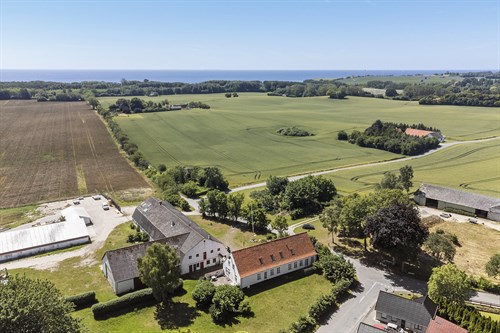 estate