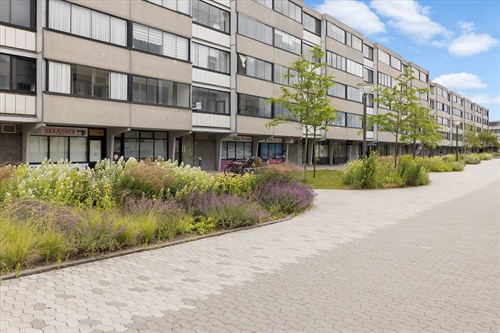 estate