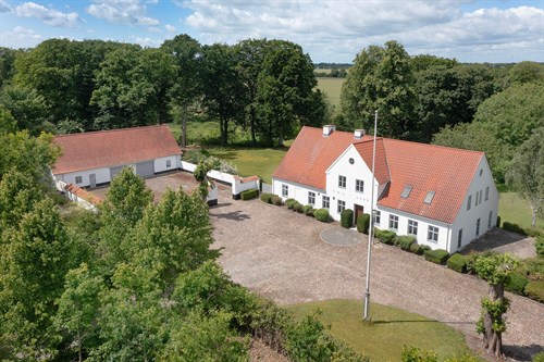 estate