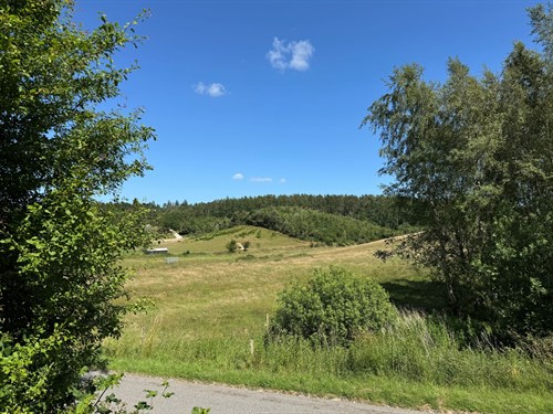 estate