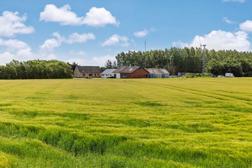 estate