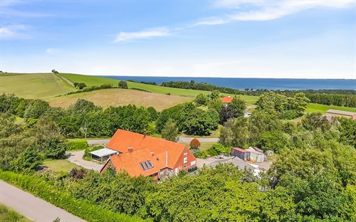 estate