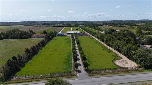 estate