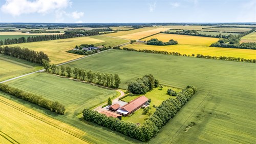 estate