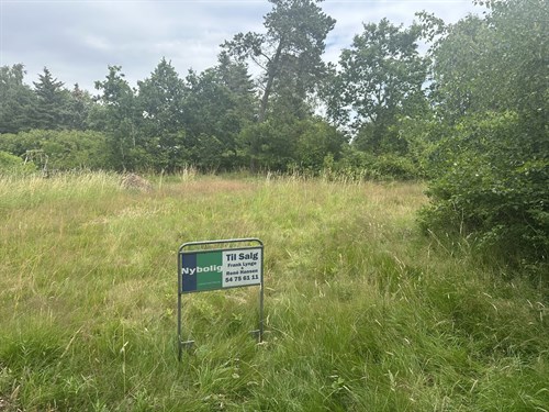 estate