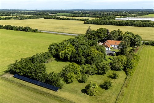 estate