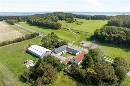 estate