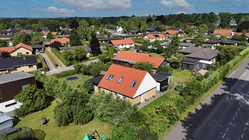 estate