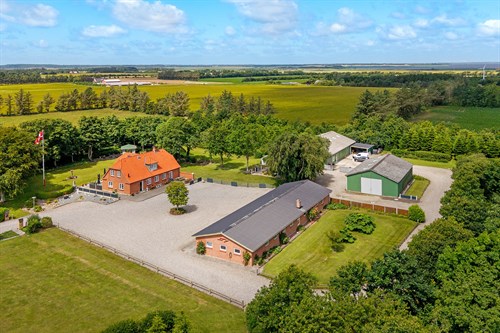 estate