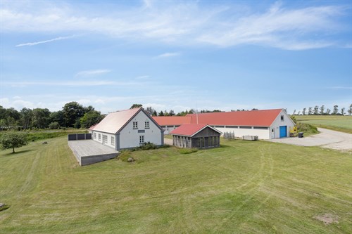 estate