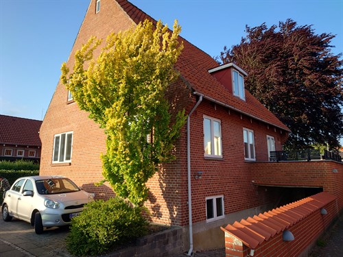 estate