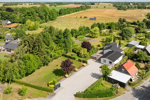 estate