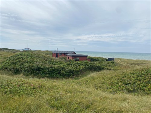 estate