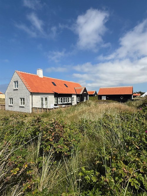 estate