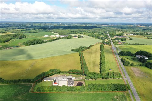 estate
