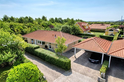 estate