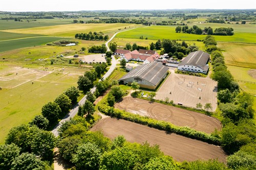 estate