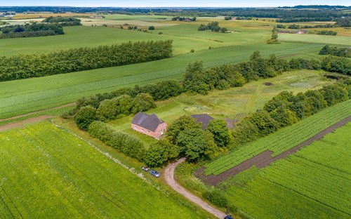 estate