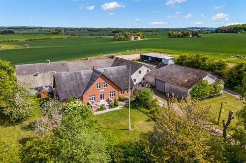 estate