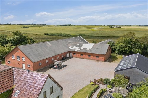 estate