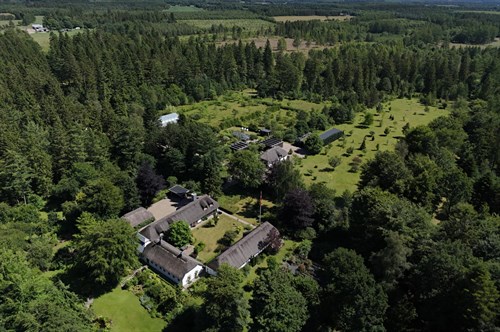 estate