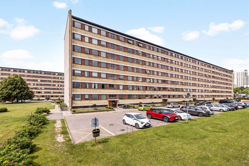 estate