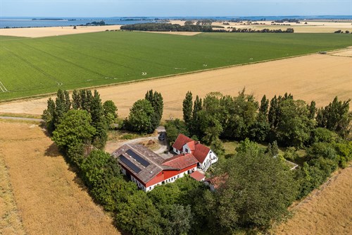 estate
