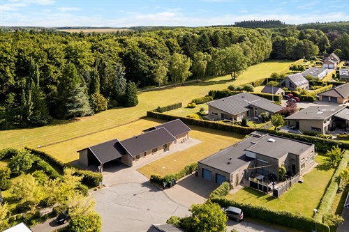 estate