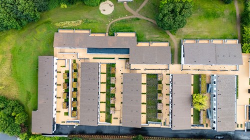 estate