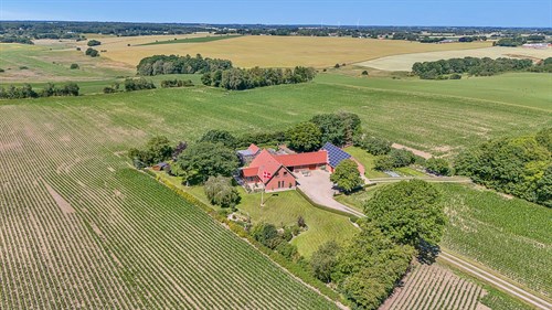estate