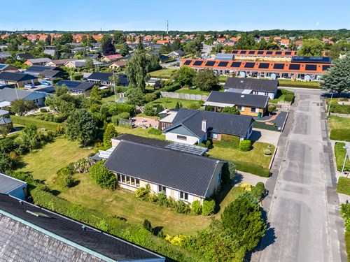 estate